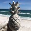 314pineapple